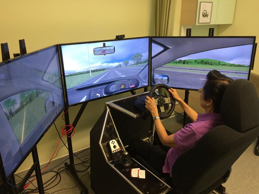 Driving Simulator for Elderly Driver Evaluation
